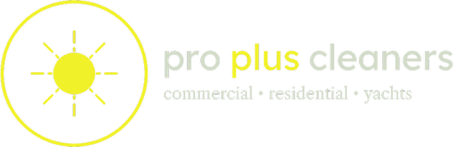 Pro Plus Cleaners 